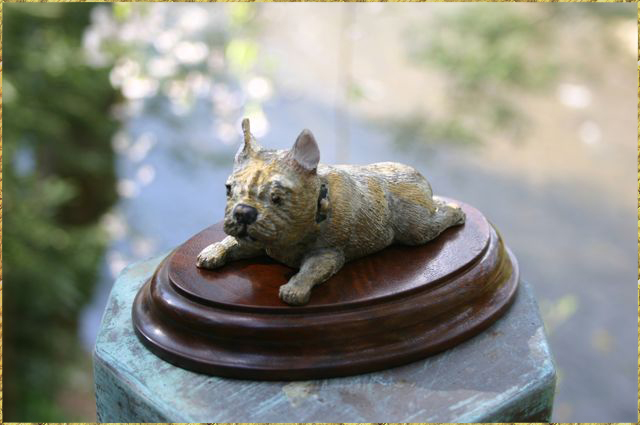 Fawn French Bulldog
